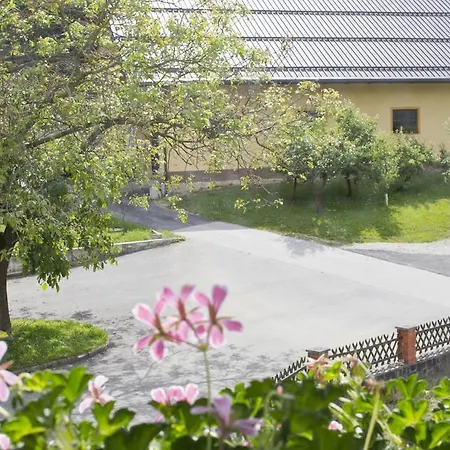 ファームステイ Tourist Farm Mraz ポドチェトルテク