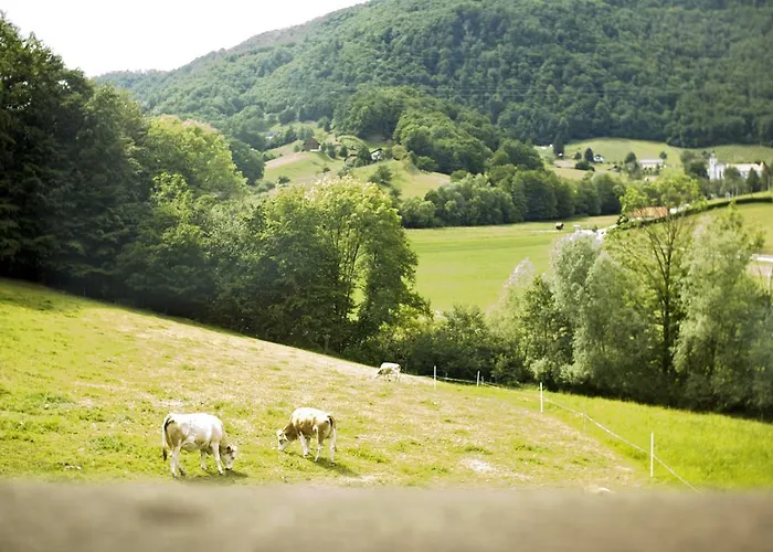 팜스테이 Tourist Farm Mraz 포드체트르테크