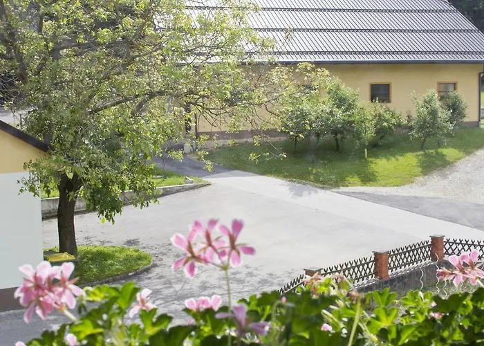 Farm stay Tourist Farm Mraz Podcetrtek